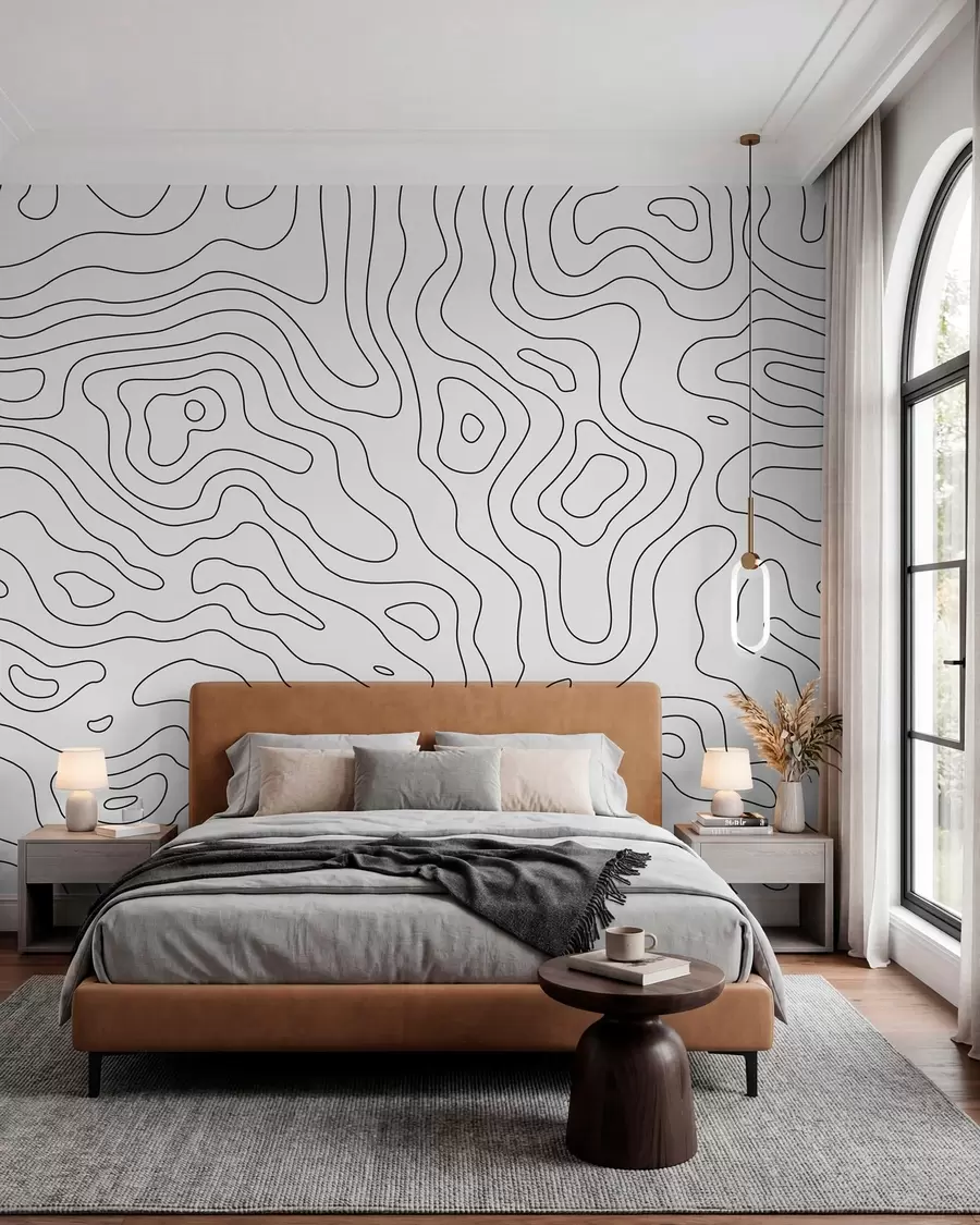 wall murals топографска карта u70650