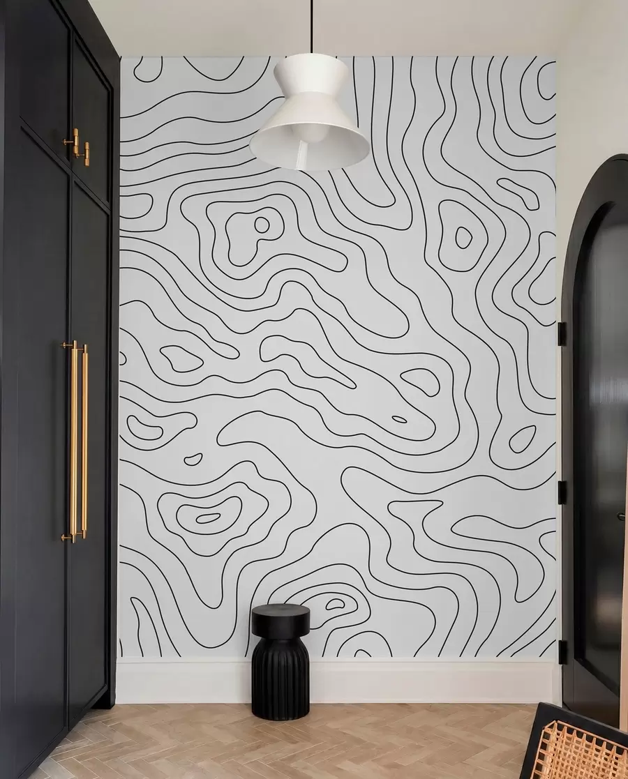 wall murals топографска карта u70650