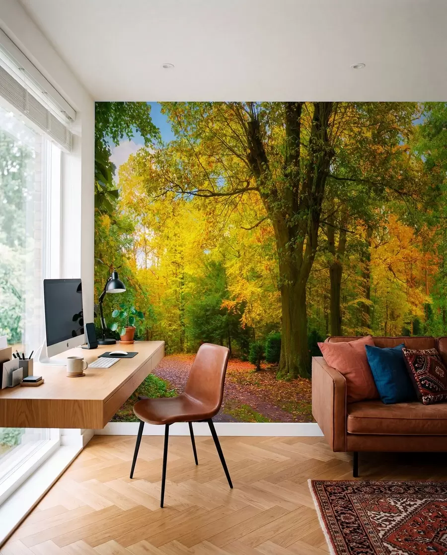 wall murals Почетак јесени u08547