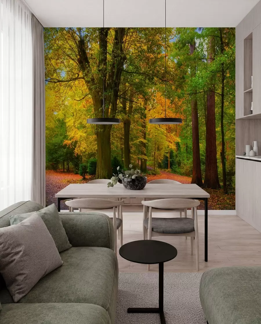 wall murals Почетак јесени u08547