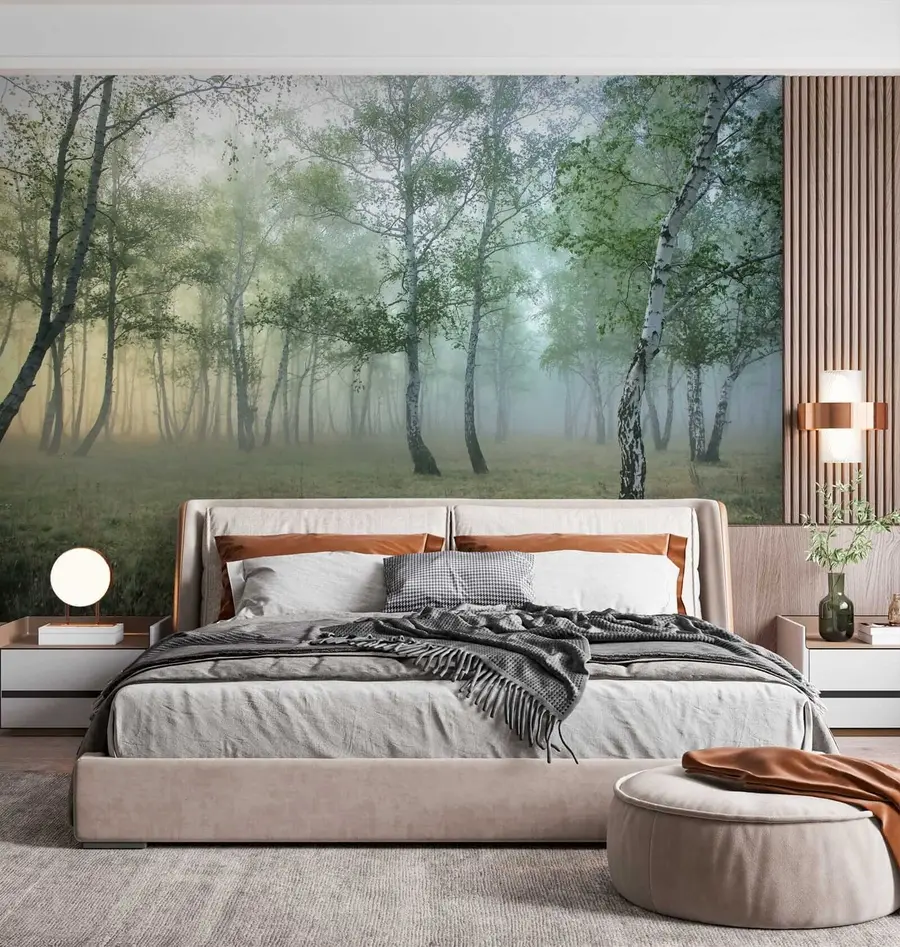 wall murals Фог Бирцх Форест u25820