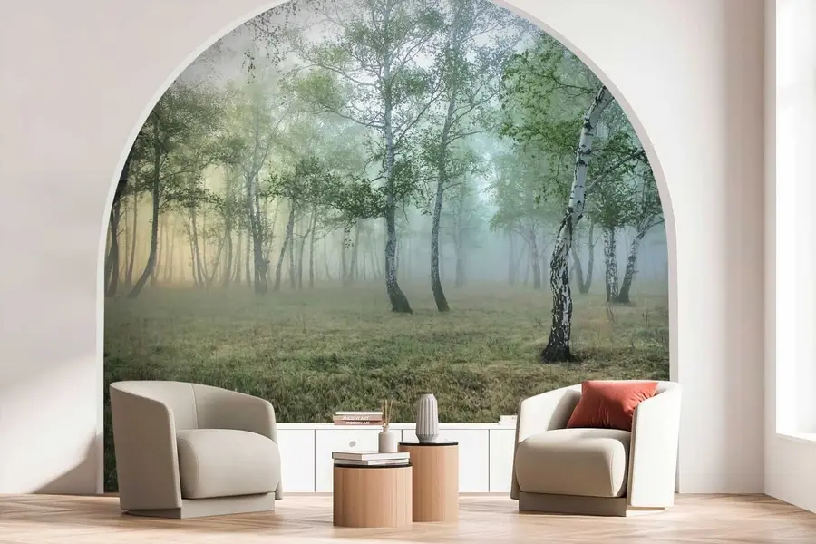 wall murals Фог Бирцх Форест u25820