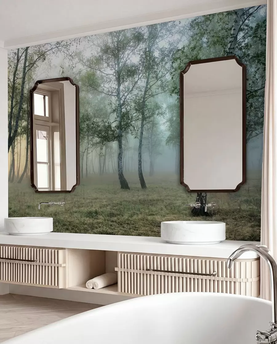 wall murals Фог Бирцх Форест u25820