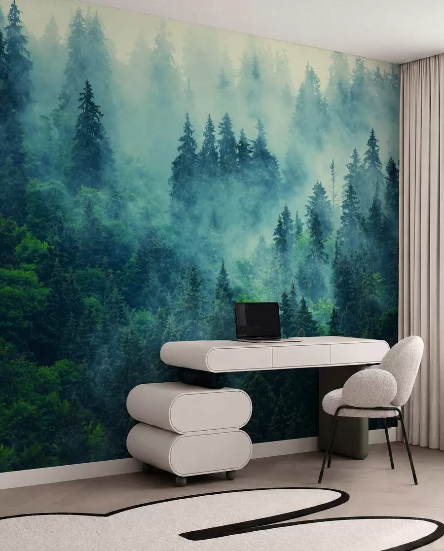 wall murals Магла шума ујутро u33150