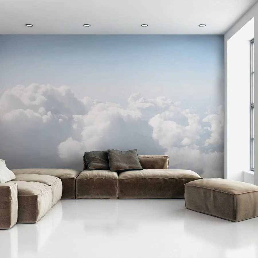 wall murals Лет у облацима u35954