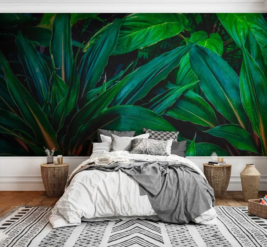 wall murals Биљка, копнена биљка и покривач тла u41136