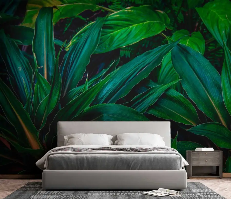 wall murals Биљка, копнена биљка и покривач тла u41136