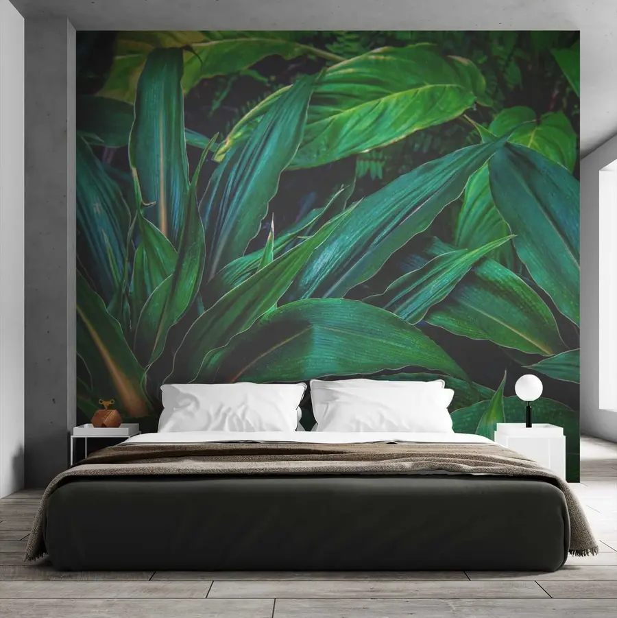 wall murals Биљка, копнена биљка и покривач тла u41136