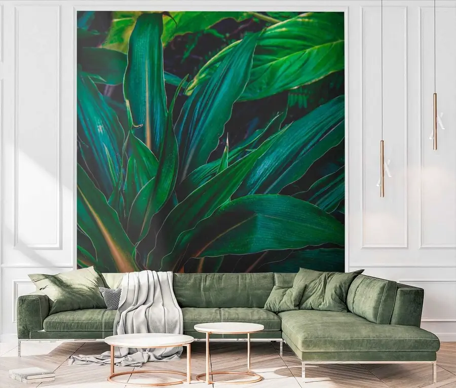 wall murals Биљка, копнена биљка и покривач тла u41136