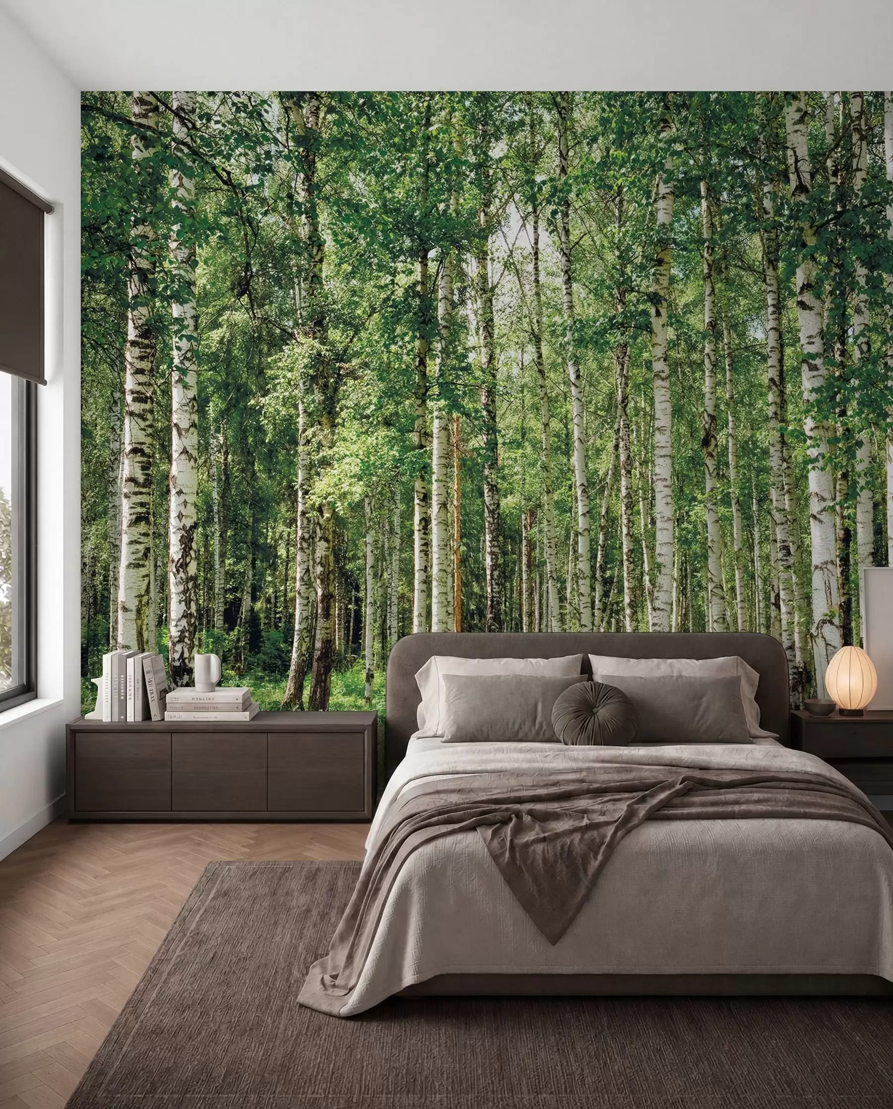 wall murals Брезова шума u52530