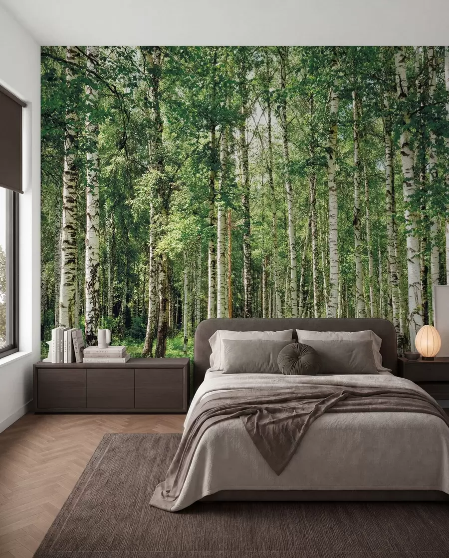 wall murals Брезова шума u52530