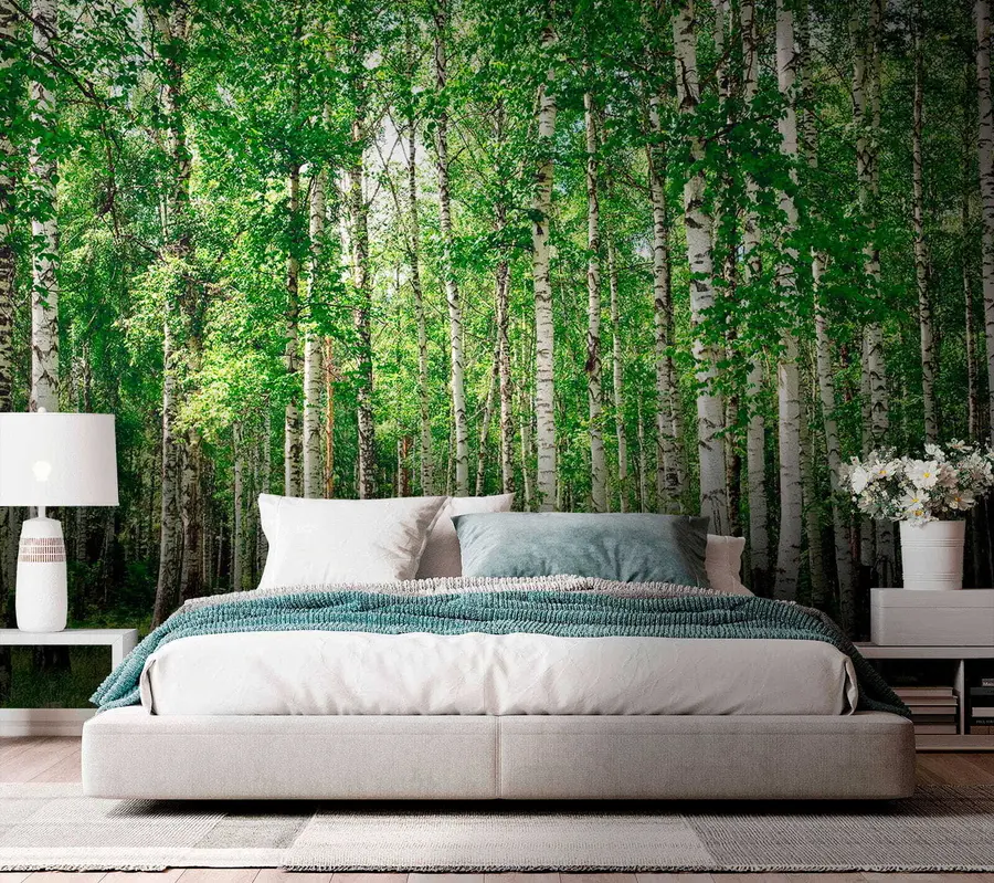 wall murals Брезова шума u52530