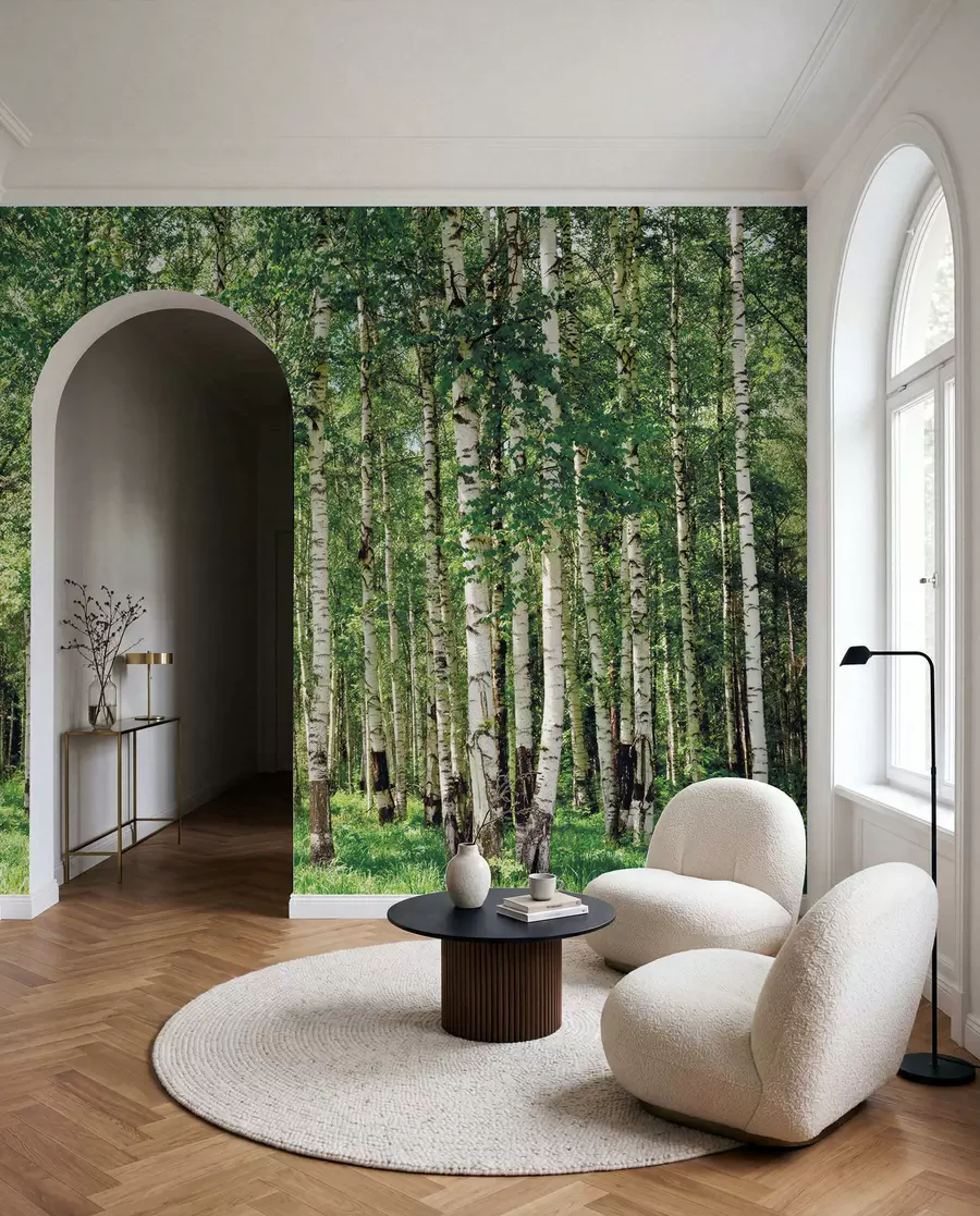 wall murals Брезова шума u52530
