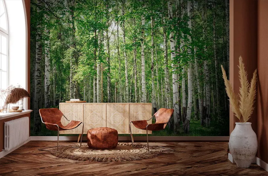 wall murals Брезова шума u52530