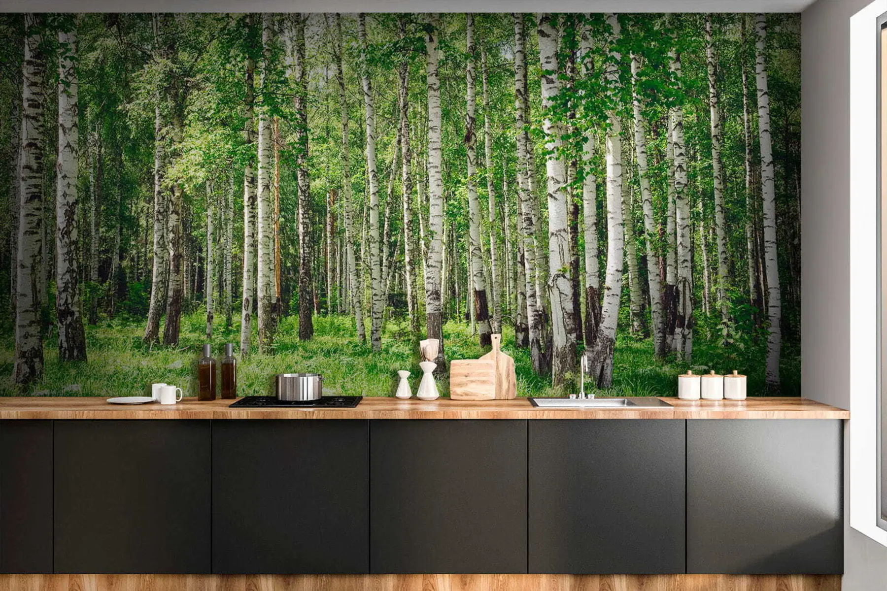 wall murals Брезова шума u52530