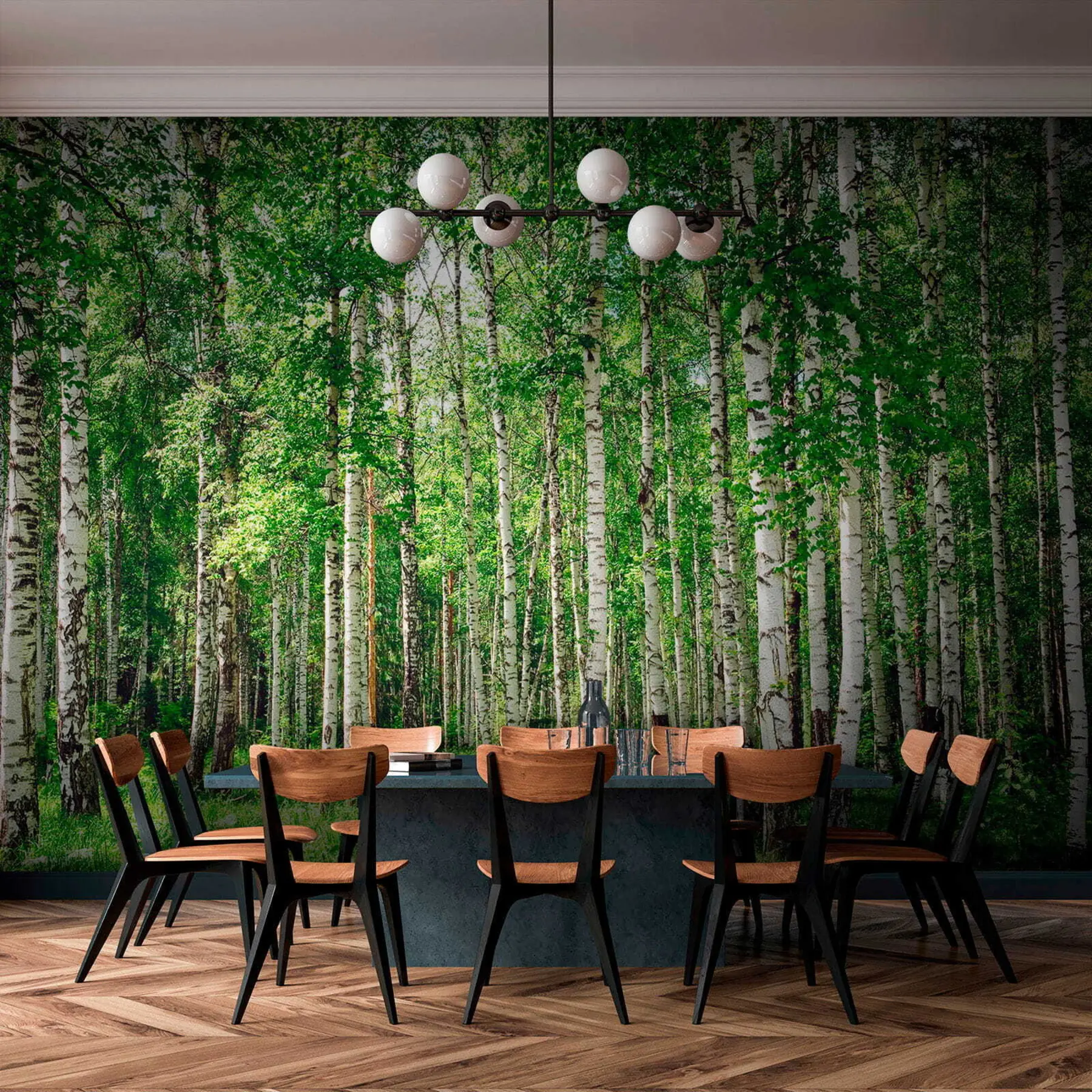 wall murals Брезова шума u52530