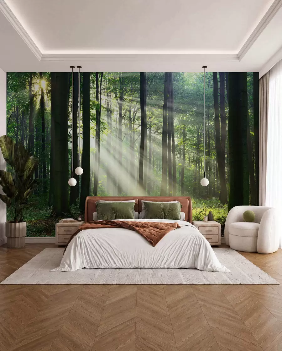 wall murals Биљка, зелена и екорегија u56787