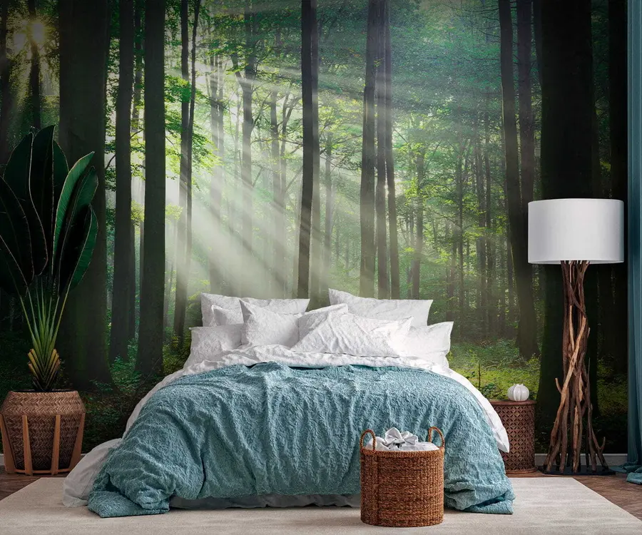 wall murals Биљка, зелена и екорегија u56787