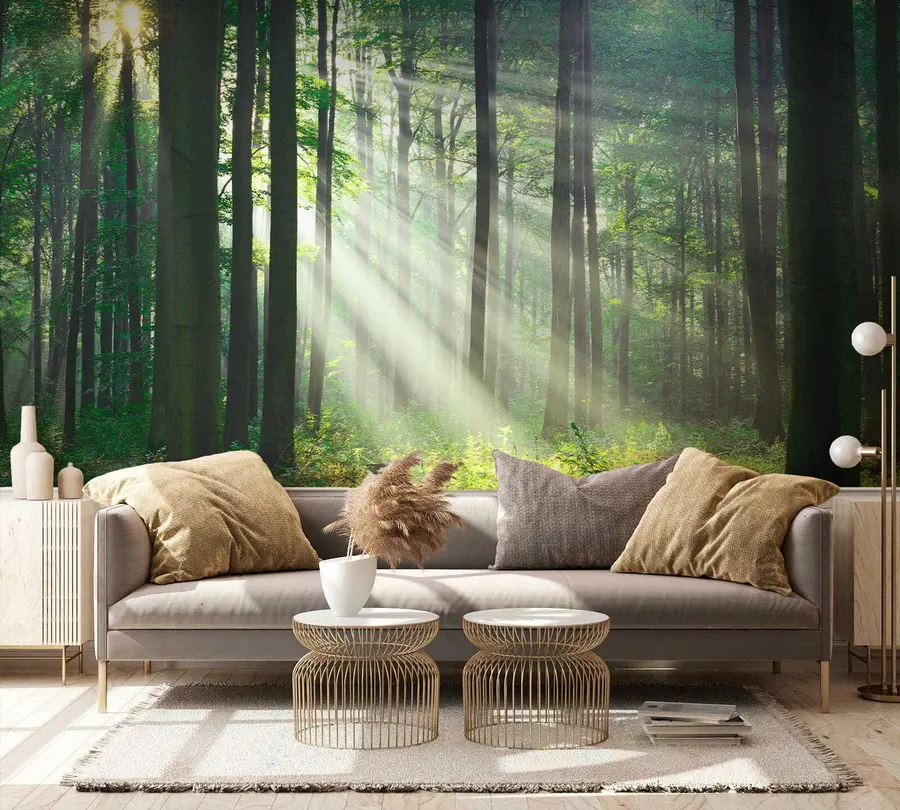 wall murals Биљка, зелена и екорегија u56787