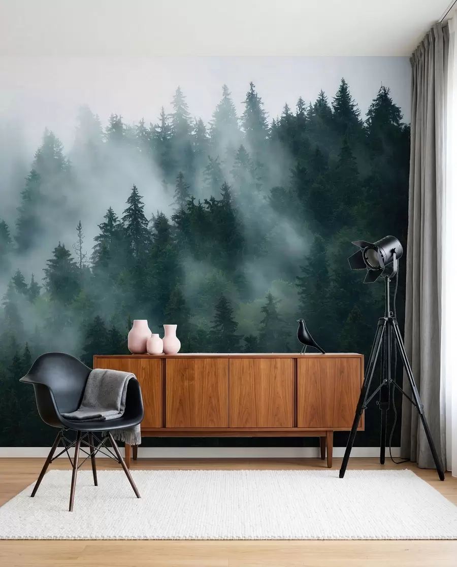 wall murals Магловита шума u57914