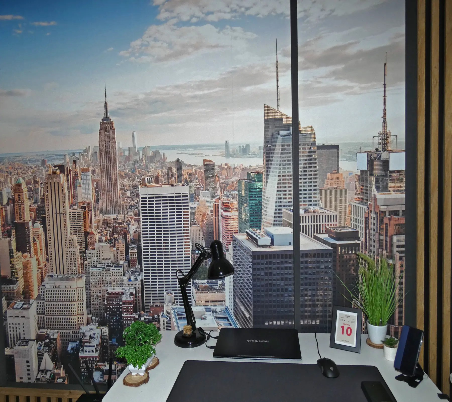 wall murals Поглед на Њујорк u59880