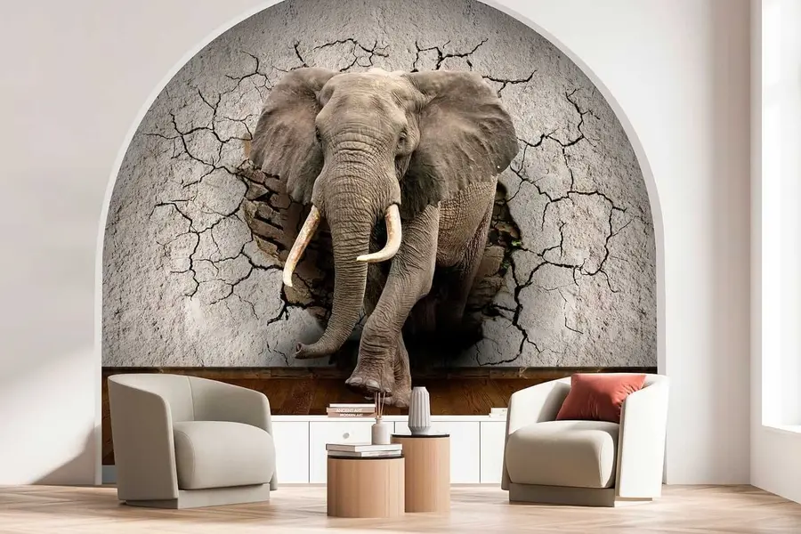 wall murals Слон се пробија кроз зид u77854