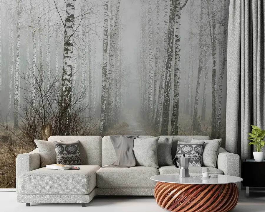 wall murals Бирцхес у магли u58950