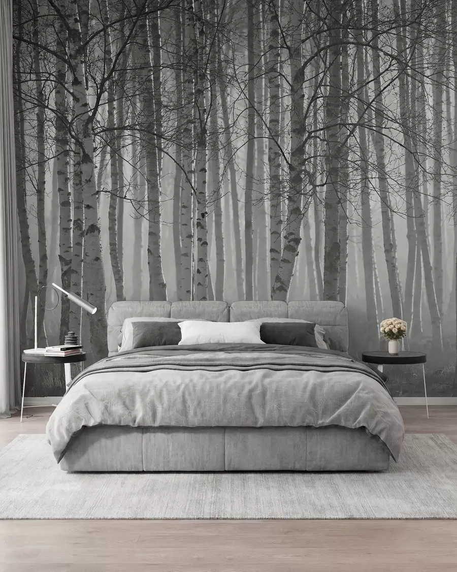 wall murals Јутарња магла у шуми брезе u58971