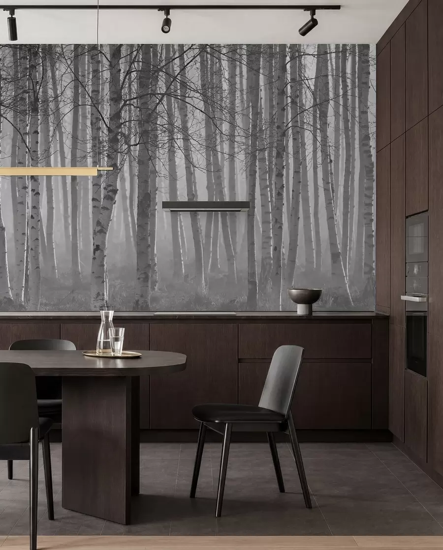 wall murals Јутарња магла у шуми брезе u58971