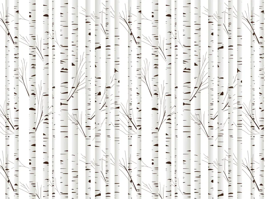 wall murals Брезова шума u58973