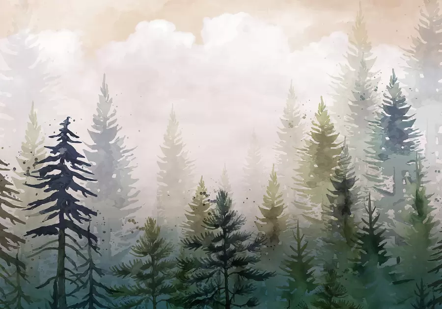 wall murals Шума високих зимзелених борова у магловитом окружењу и испуњена меким, магловитим облацима w08160