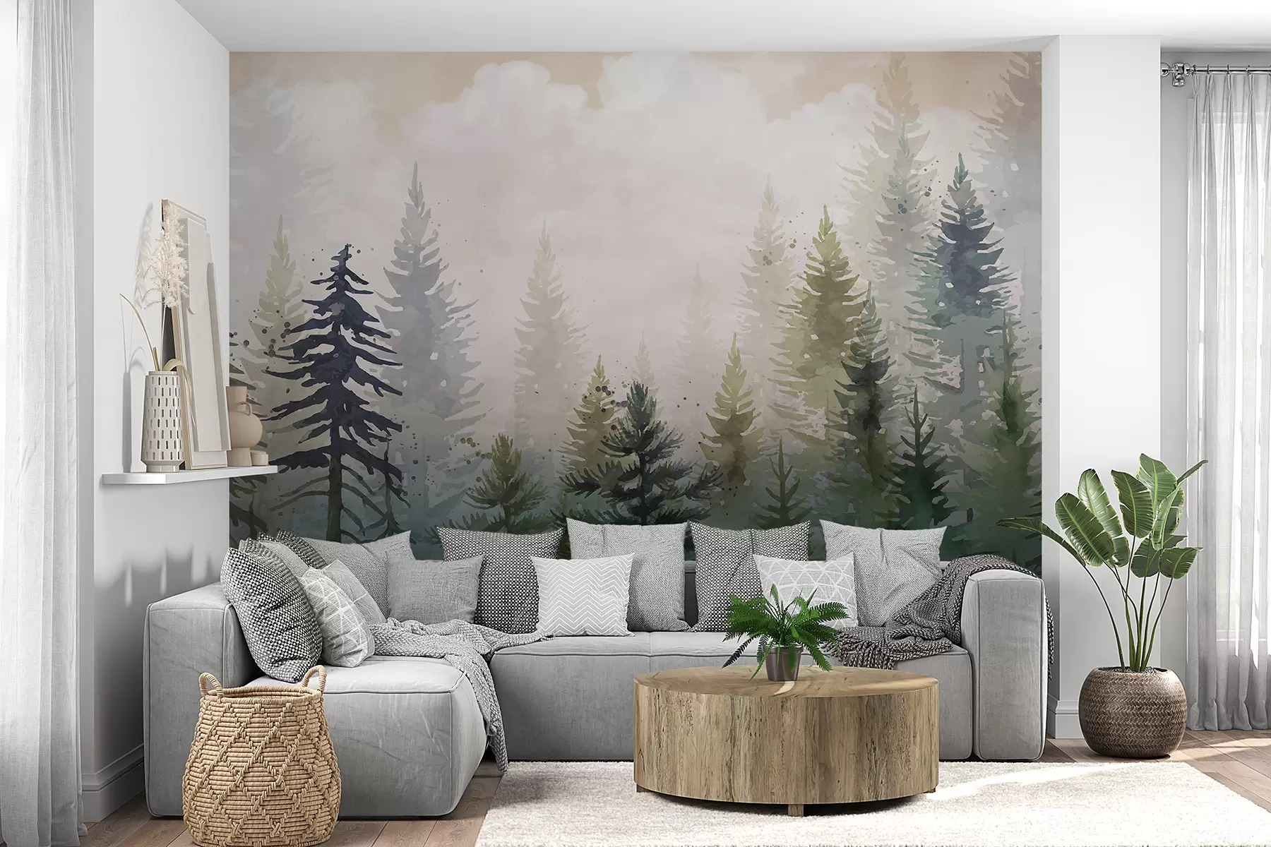 wall murals Шума високих зимзелених борова у магловитом окружењу и испуњена меким, магловитим облацима w08160