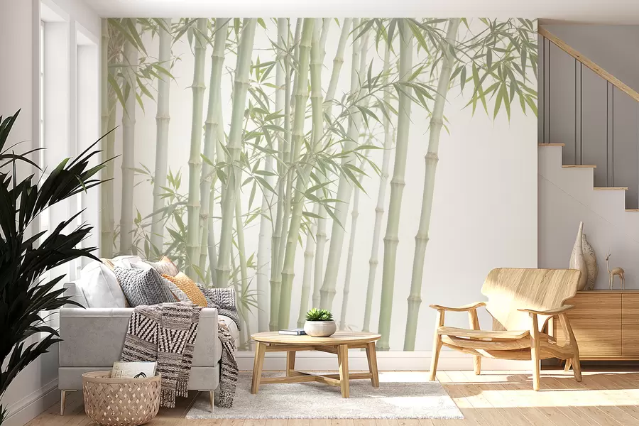 wall murals Густа бамбусова шума са високим бамбусовим стабљикама и зеленим лишћем на мекој, магловитој позадини w08237