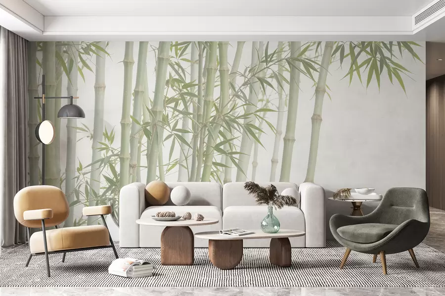wall murals Густа бамбусова шума са високим бамбусовим стабљикама и зеленим лишћем на мекој, магловитој позадини w08237