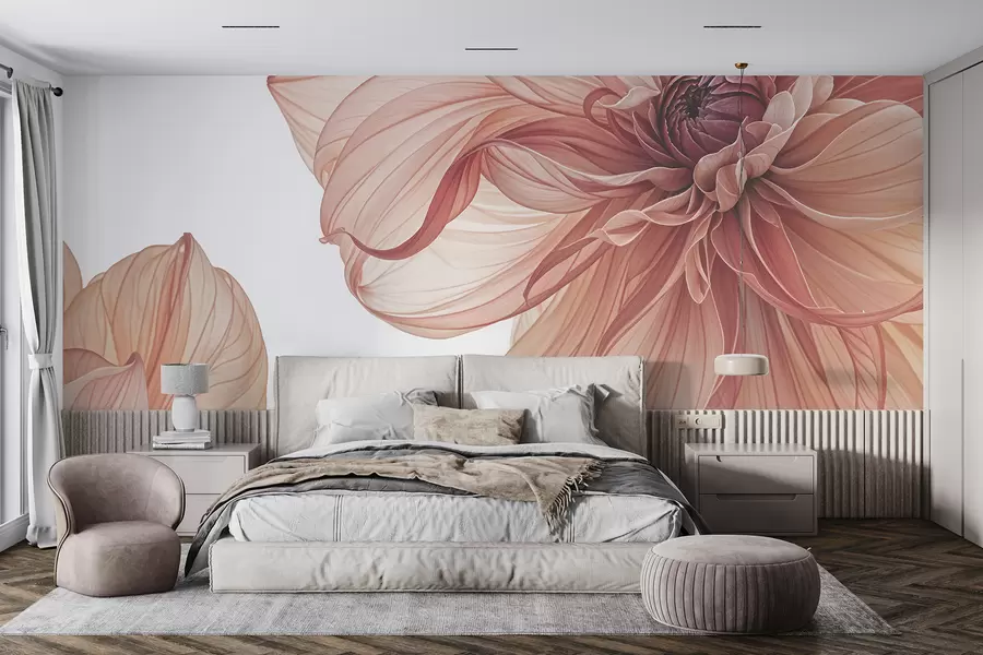 wall murals Поглед изблиза на неколико великих, живописних црвених цветова далије са меким, деликатним латицама на белој позадини w08257
