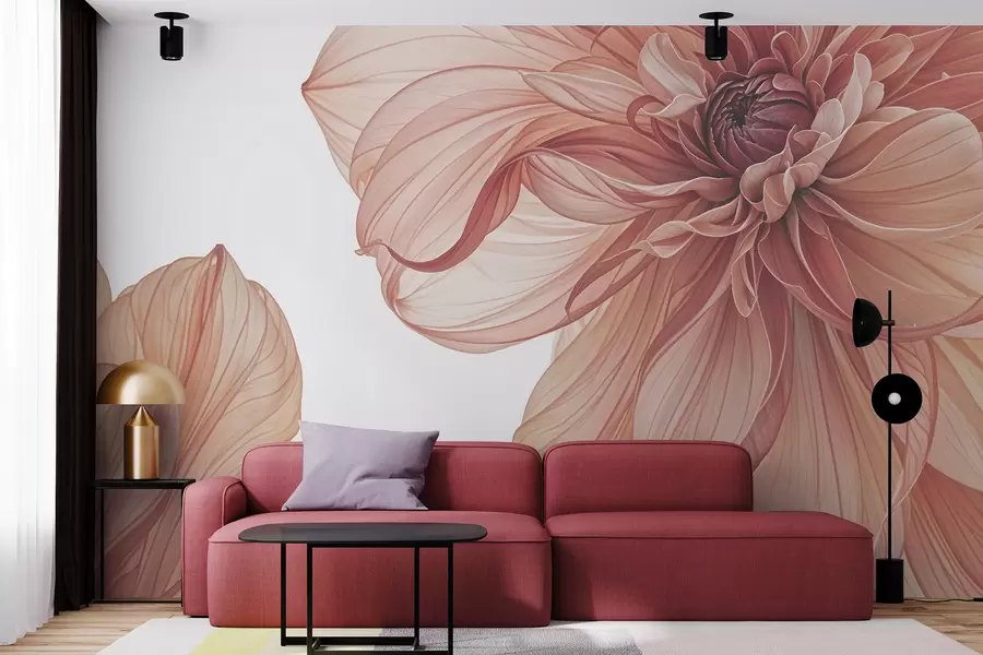 wall murals Поглед изблиза на неколико великих, живописних црвених цветова далије са меким, деликатним латицама на белој позадини w08257