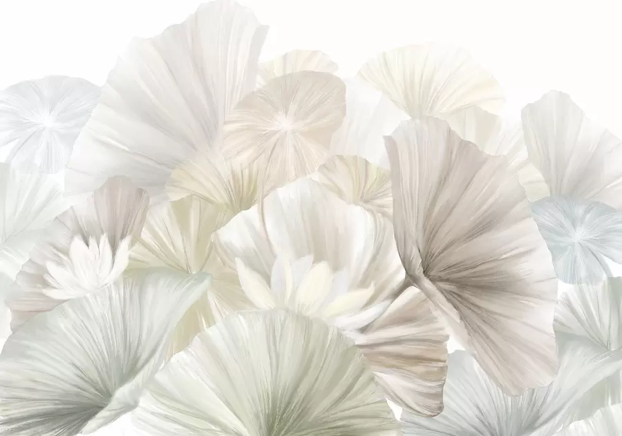 wall murals Нежни зелени листови лотоса са белим цветовима са меким, пернатим латицама распоређеним у природну уметничку композицију w08265