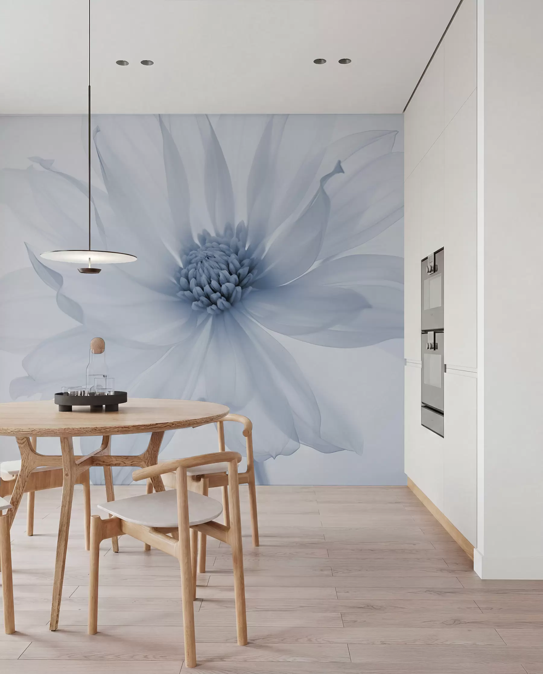 wall murals Деликатни плави цвет на светлој позадини w02077