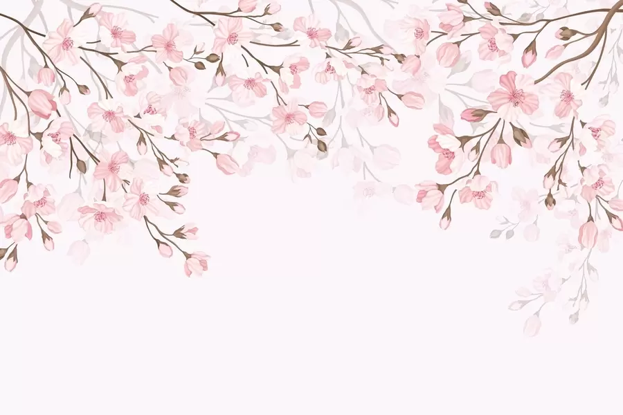 wall murals розе цветне гране на ружичастој позадини w02200