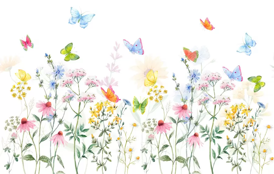 wall murals Шарено цвеће и биљке и лептири w02238