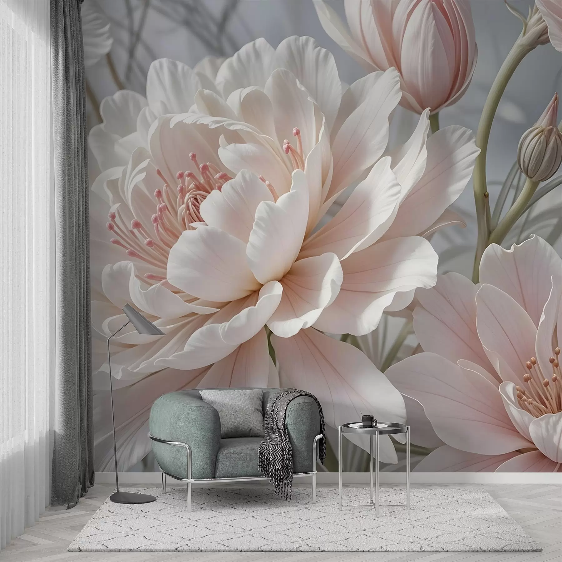 wall murals Велики, деликатни бели и ружичасти цветови божура са меким, лепршавим латицама на замућеној сивој позадини w08427