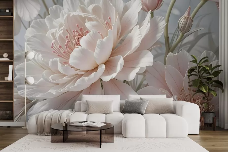 wall murals Велики, деликатни бели и ружичасти цветови божура са меким, лепршавим латицама на замућеној сивој позадини w08427