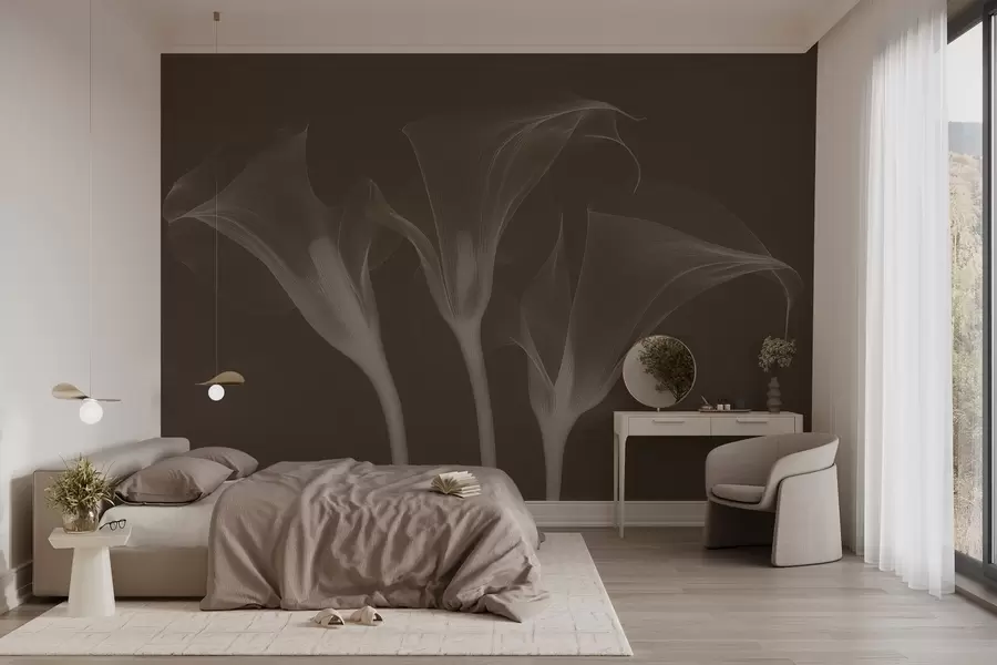 wall murals прозрачно прозирно цвеће Зантедесцхиа на тамној позадини w02632v1