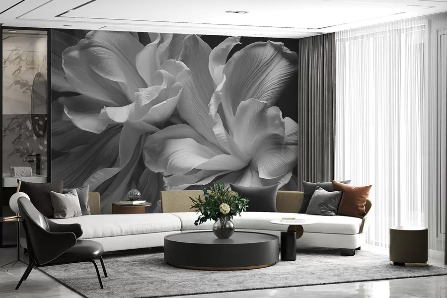 wall murals Велике латице цвећа у црно-белој боји w02554