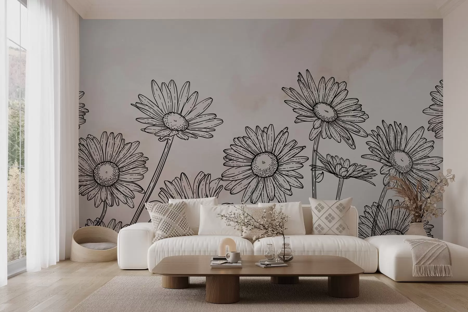 wall murals Осликане тратинчице на светлој позадини w02951