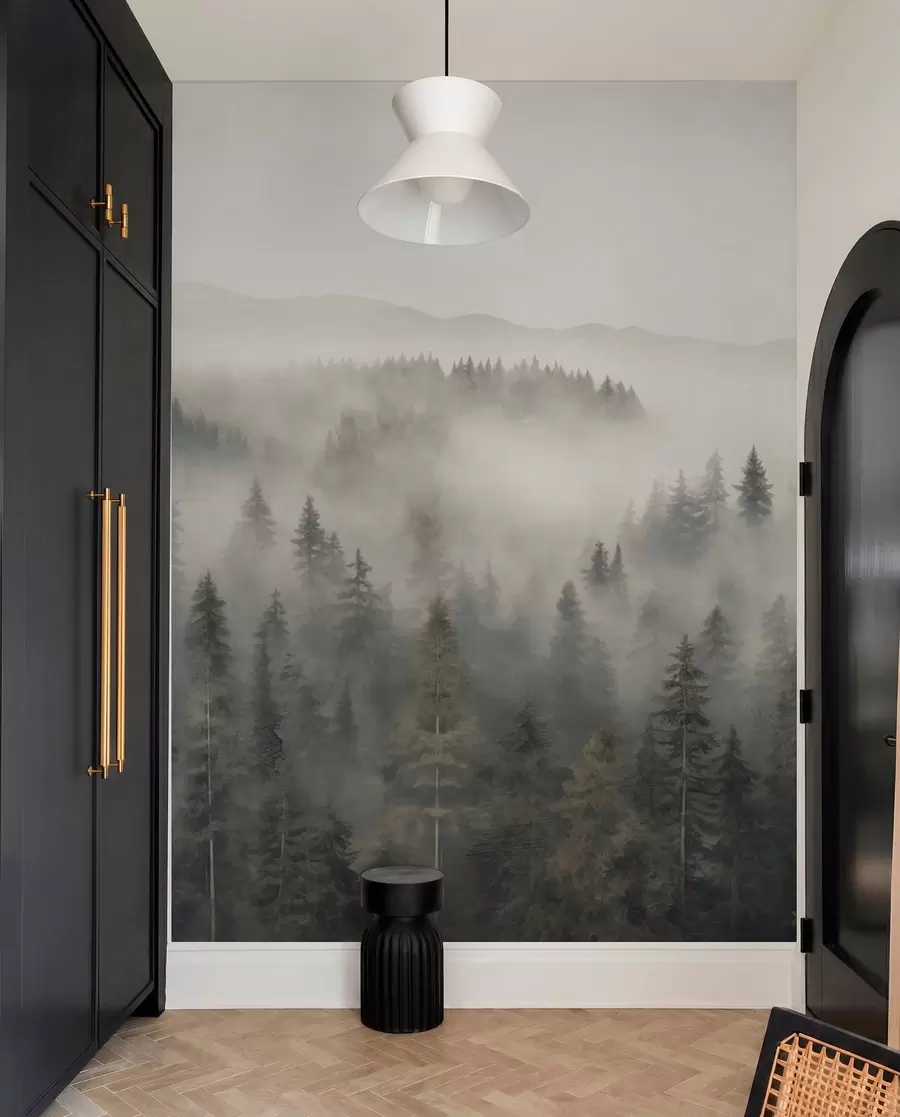 wall murals Магловита четинарска шума w03524