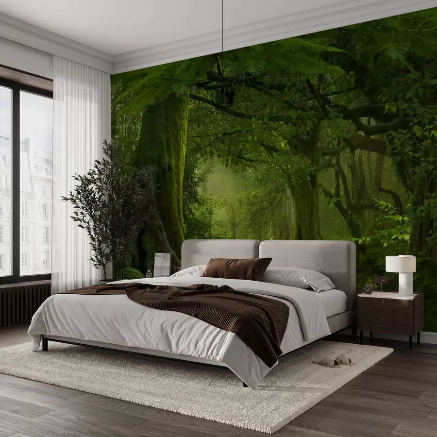 wall murals Древна шума u56167