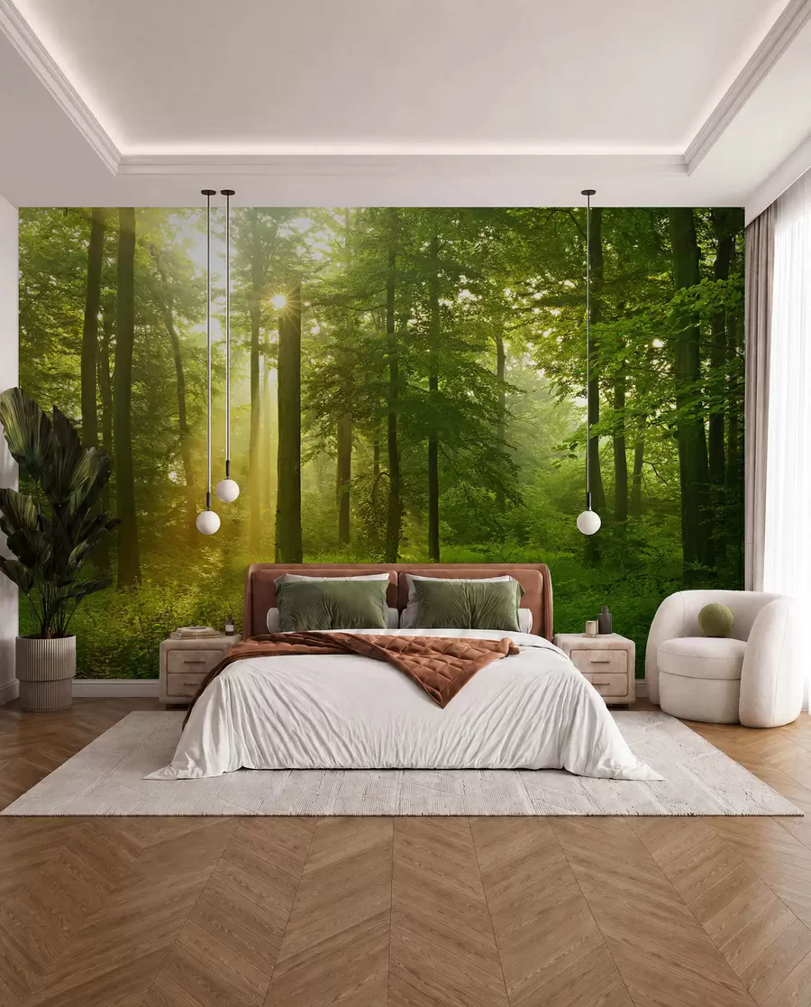 wall murals Тишина у сунчаној шуми u57295