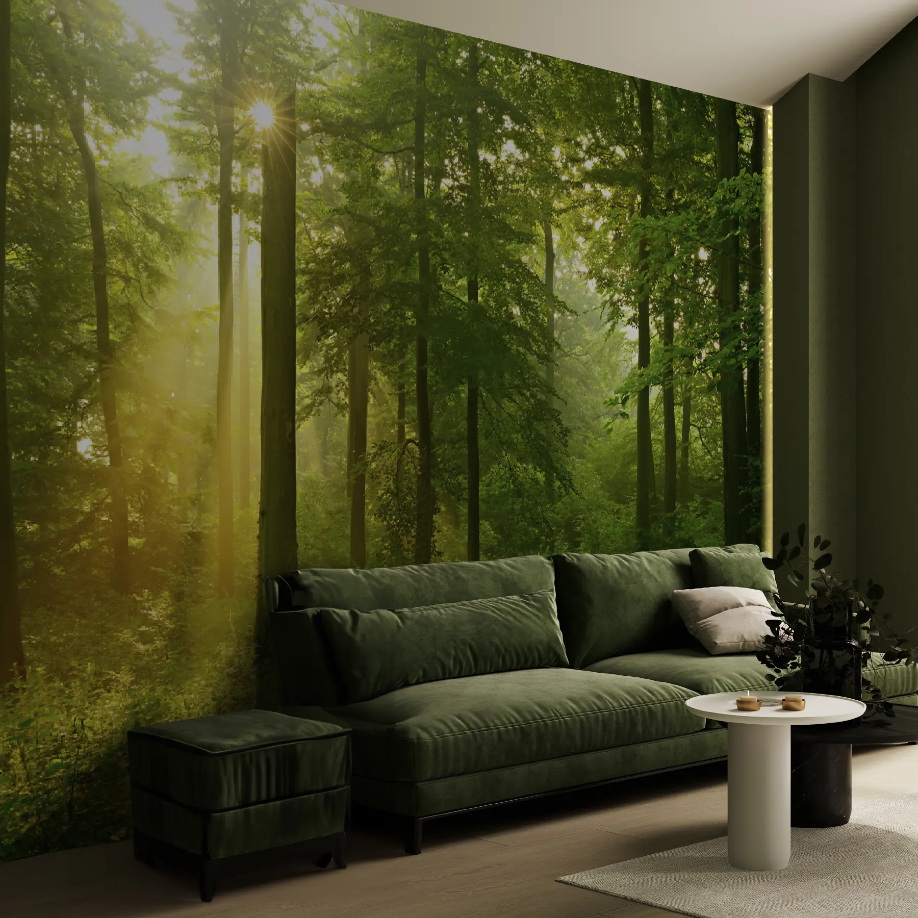 wall murals Тишина у сунчаној шуми u57295