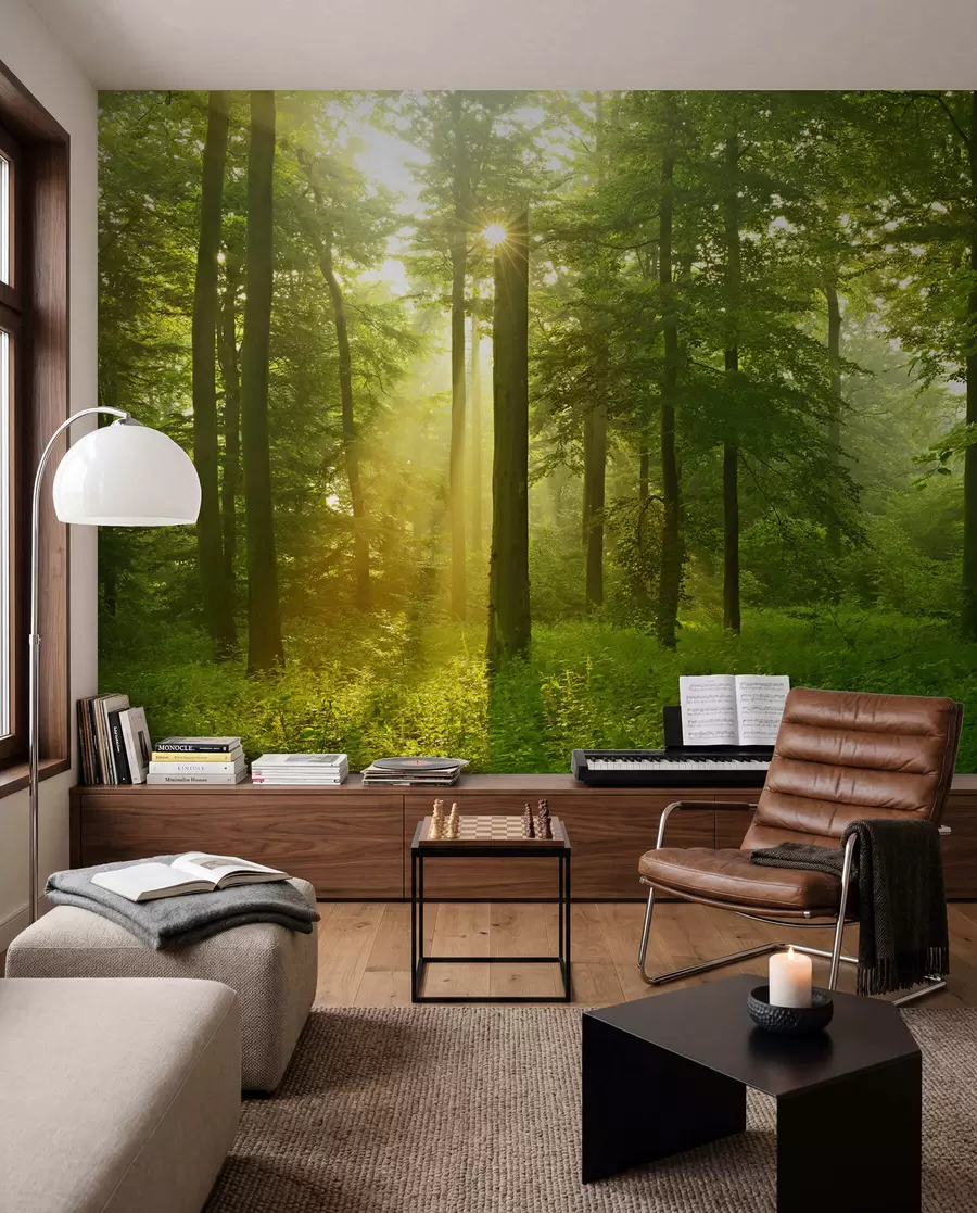 wall murals Тишина у сунчаној шуми u57295
